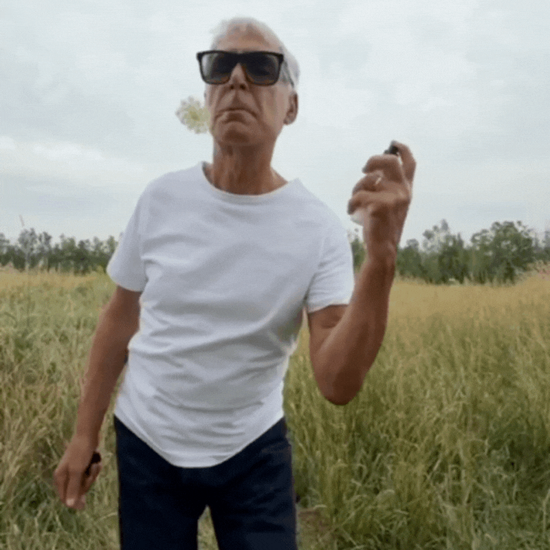 The Farmhouse Edit: Edition 67